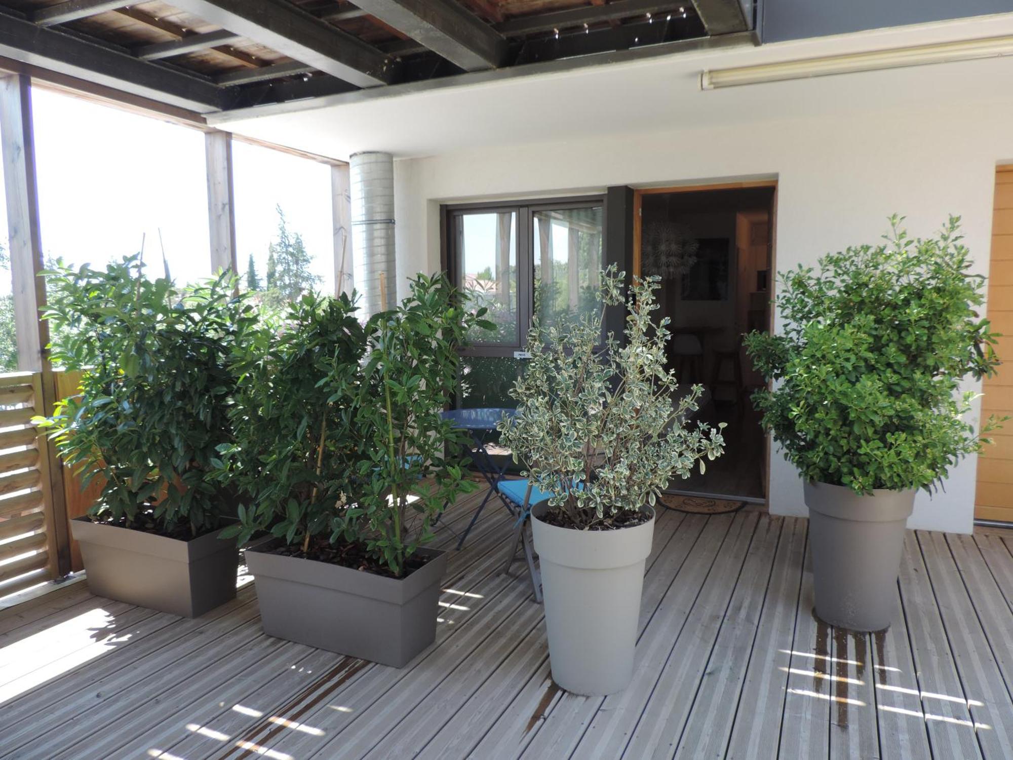Studios Nuitee En Provence Aix-en-Provence Eksteriør billede