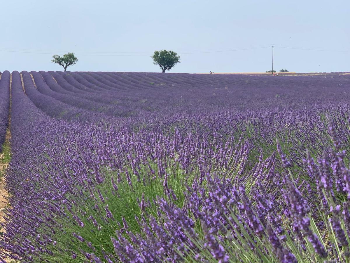 Studios Nuitee En Provence Aix-en-Provence Eksteriør billede